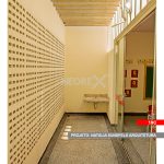 19C_50-SITE