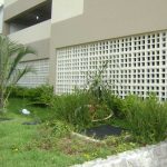 23v-25-_site_