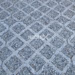 CGD_10_site_