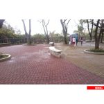 foto314